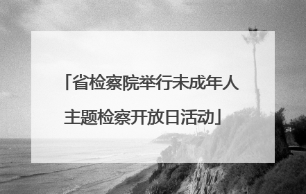 省检察院举行未成年人主题检察开放日活动